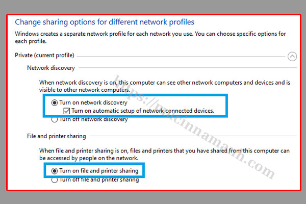 Turn on network discovery & Turn on file and printer sharing